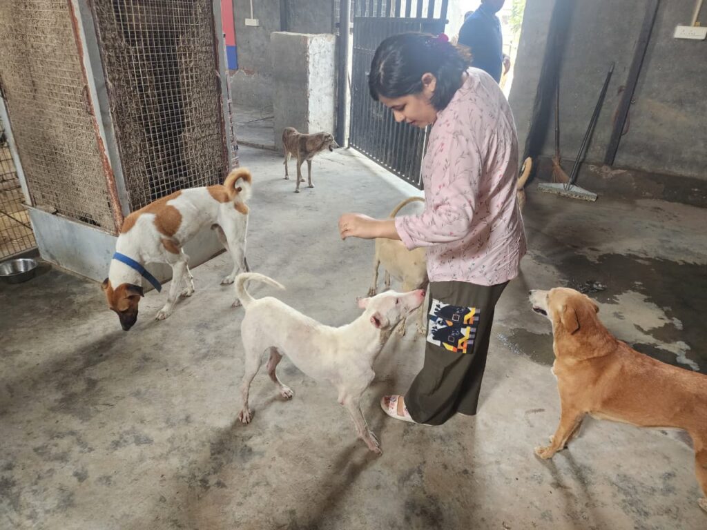 Making a Difference at NISHABD Animal Shelter whatsapp image 2025 10 24 at 7.52.08 pm