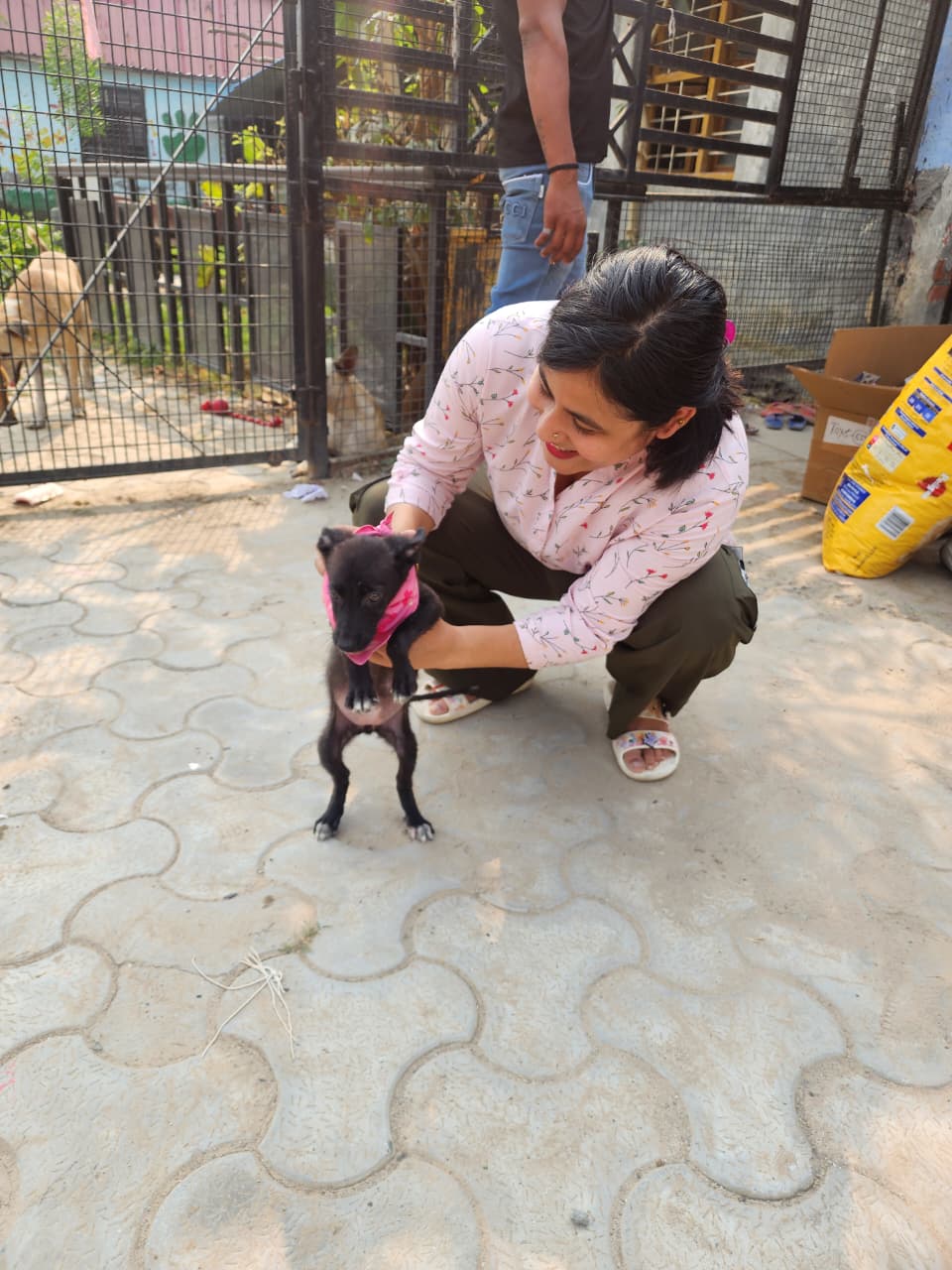 Our Impact animal care